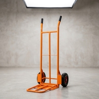 Carretilla de mano de acero de alta resistencia con dos ruedas, neumáticos, para transporte de carga en almacenes y construcción, tipo Tiger Cart