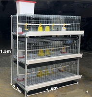 Conception de Ferme Avicole pour Poussins d'un Jour, Cage d'Élevage de Poulets de Chair