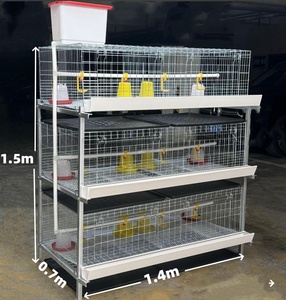 Progettazione di Allevamenti Avicoli per <span class=keywords><strong>Pulcini</strong></span> da Carne di Un Giorno, Gabbie per l'Allevamento di Broiler - Product Image 2