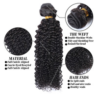 Extensions de cheveux indiens Remy vierges à cuticules alignées, 100 % non traités, bouclés Jerry, double trame, 100 g, pour tissage