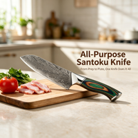 Damascus staal modern minimalistisch Santoku-mes 17,5 cm scherp vleesbijl kleurrijk houten handvat kokskeuken snijmes
