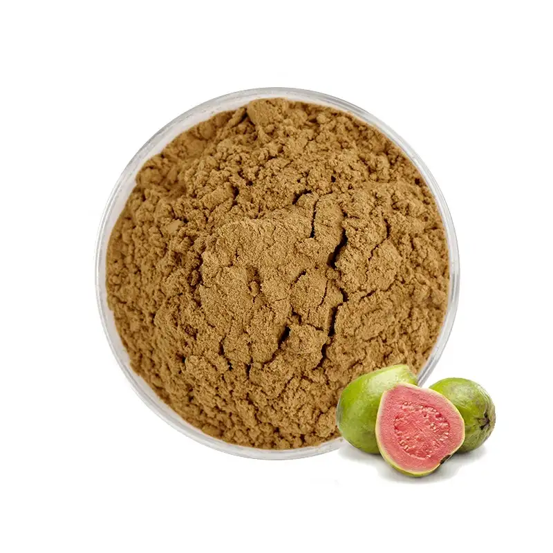 Sale Best Quality Guava Leaf Extract