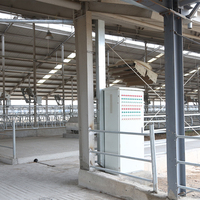Structure en acier personnalisée pour l'élevage automatisé de bovins et de moutons