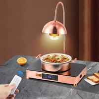 WINNERS Lampe chauffante alimentaire or rose, plateau chauffant électrique, lampes chauffe-plats pour buffet, présentoir pour aliments frits, pour restaurants