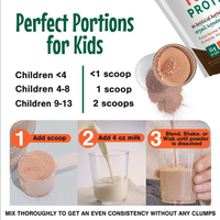 Formules personnalisées OEM ODM sous marque privée : Poudre protéinée pour enfants au chocolat, lactosérum de vache nourrie à l'herbe, colostrum, choline – Compléments nutritionnels quotidiens