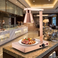 Station de chauffage électrique pour buffet en acier inoxydable, robuste, avec lampes chauffantes infrarouges à tête simple ou quadruple et contrôle indépendant