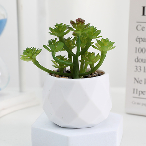 Artificial Mini Succulent Plant Home Decoration <strong>Used</strong> for Desktop Decoration Green Artificial Plant Succulent Decoration - Product Image 6