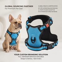 Harnais de gilet pour animaux de compagnie à boucle de sécurité Offre Spéciale harnais de chien en Nylon réglable réfléchissant sans harnais de traction pour la marche de chien en plein air