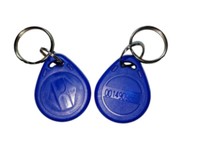 125 KHZ ID Number Printing Rewritble 34*27*6mm T5577 EM4305 ABS RFID Tag RFID Key Fob