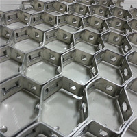 Feuille de coquille de tortue de grille d'acier hexagonale d'approvisionnement