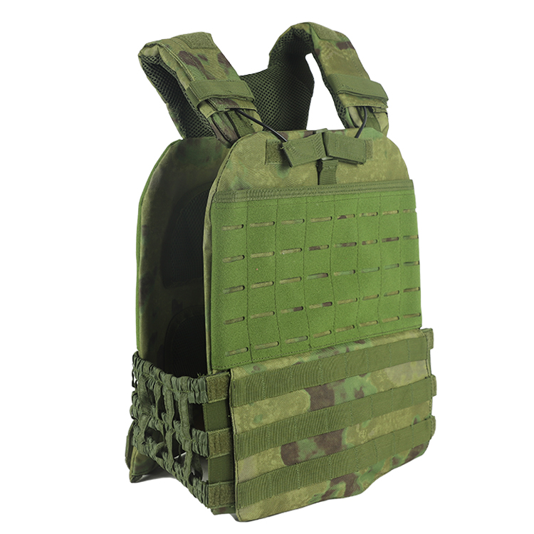 Cp vert