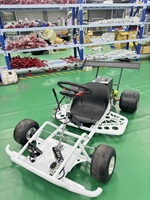Kart électrique de drift haute vitesse pour adultes, kart de course électrique à 4 roues, kart de course de divertissement en plein air avec aileron arrière