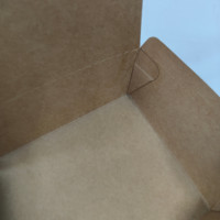 Boîtes rigides personnalisées écologiques jetables en papier kraft avec doublure en éponge pour emballage alimentaire, plats à emporter, rangement et vernissage (Wok, nouilles)