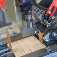 Machine d'emballage et de cerclage automatique pour bâtonnets de crème glacée en bois avec moteur numérique, fournie par l'usine