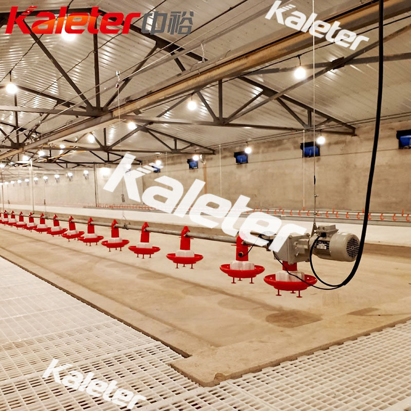Chicken Breeder Automatic Chicken Feeders Line