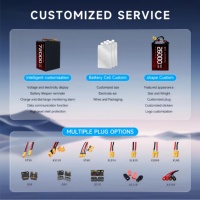Batterie lithium-ion semi-solide CE 6S 12S à prix abordable, 26000mAh 44.4V Senhang, 1000 cycles, haute performance