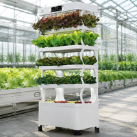 Système de culture hydroponique d'intérieur avec éclairage LED, jardinière verticale à 5 niveaux pour herbes et légumes, auto-arrosant