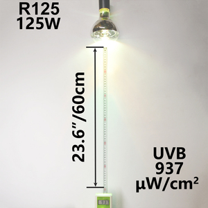 Đèn Hơi Thủy Ngân Cho Bò Sát 80W 100W 125W 160W Đèn Mặt Trời UVA UVB Cường Độ Cao Tự Dằn UV Đèn Hơi Thủy Ngân - Product Image 6