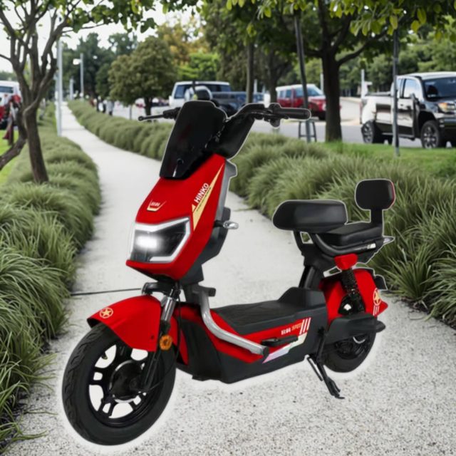 Newly Designed Adult Electric Bicycles, Suitable for Urban Commuting by Riding Electric Bikes, Available in Various Colors.