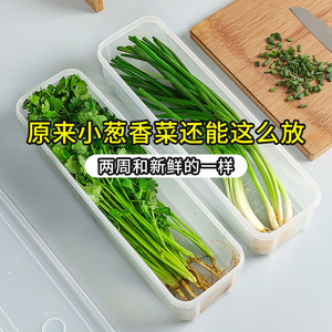 Refrigerator Food Storage <b>Containers</b> For Scallions Cilantro Green Onions Long Transparent Airtight <b>Plastic</b> With Seal <b>Lid</b> L Size - Product Image 4