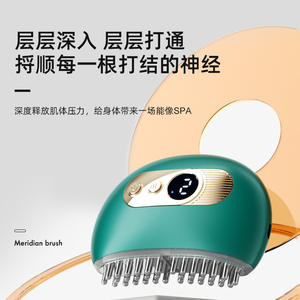 แปรงนวดหน้าอัจฉริยะคลอริส รุ่นเมอริเดียน ชาร์จไฟได้ พร้อมระบบควบคุมอุณหภูมิ สำหรับการบำบัดจุดฝังเข็ม - Product Image 4