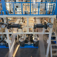 Machine à film soufflé PE monocouche à double tête, double sortie, deux rouleaux de film simultanément