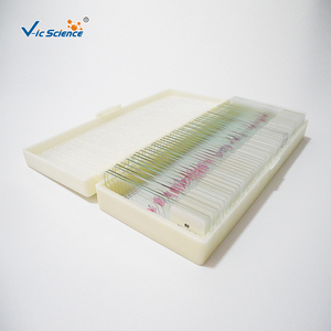 寄生虫学用プレパラート50枚セット 顕微鏡用プレパラート 顕微鏡用プレパラート - Product Image 2