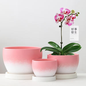 Ceramic Glazed Flower Pot Nordic Style <b>Light</b> Luxury Creative Christmas Tree Pattern Leaf Texture Eco-Friendly Green Plants - Product Image 3