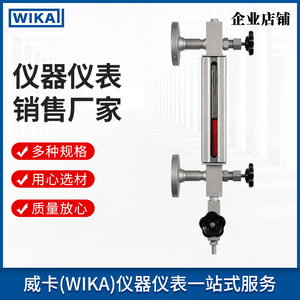 Jauge de niveau à plaque de verre WIKA LGG antidéflagrante pour l'industrie pétrochimique, la construction navale et les centrales électriques - Product Image 5
