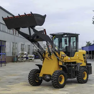 very good machine new skid wheel loader Racoon HT-100L for sale