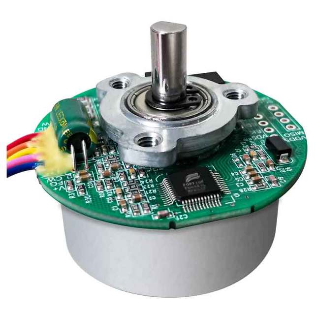 MAINTEX 62mm 24V BLDC Motor with Controller 12V DC Brushless Air Purifiers Motor for Humidifiers Dc Fan Motor