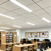 Lampu LED 2FT 4FT 8FT Daya & CCT Dapat Dipilih 120-277Vac 0-10V Dapat Diredupkan 125lm/W Penutup PS Buram Aluminium