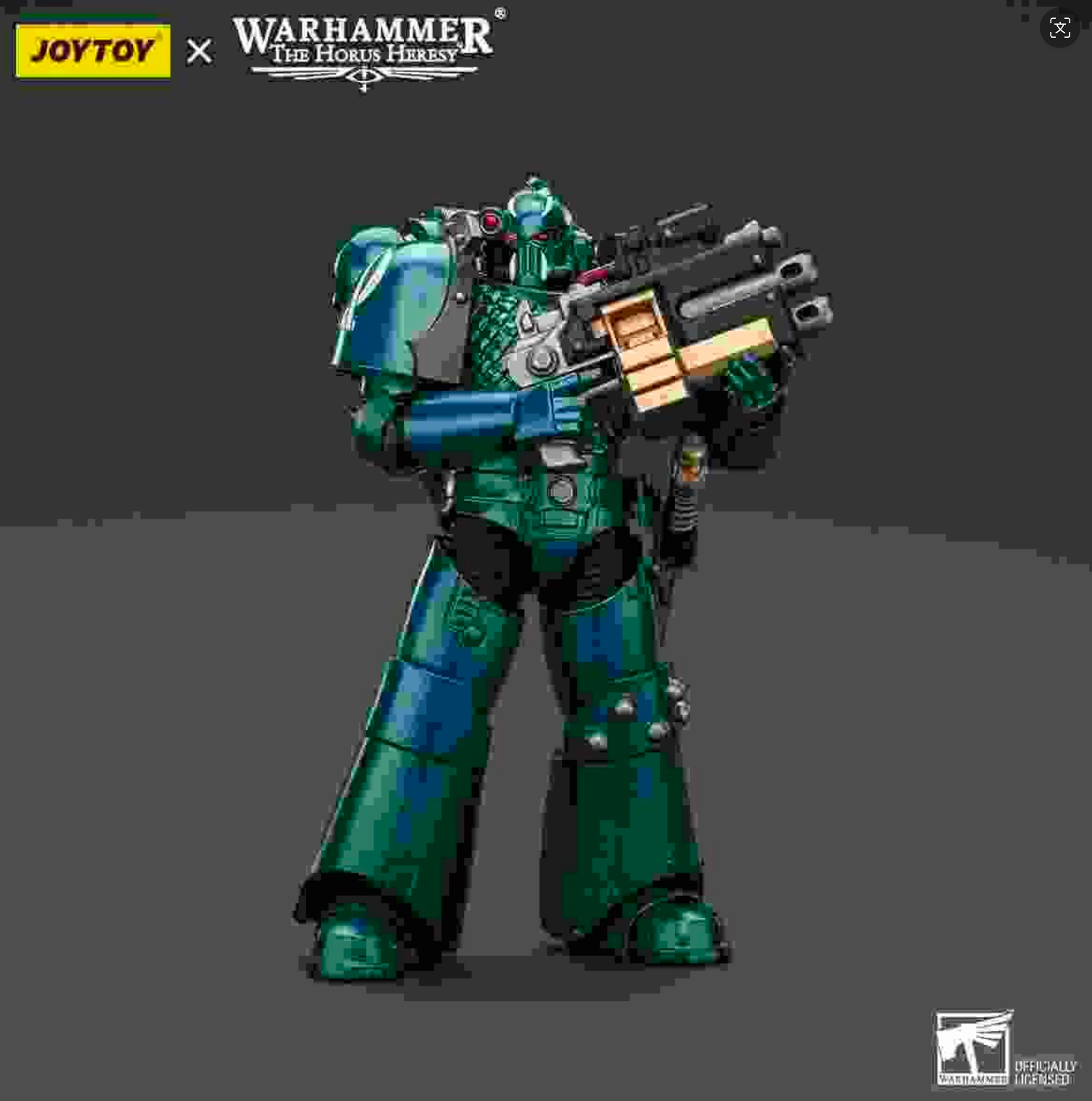 Headhunter With Banestrike Combi-Bolter And Power Dagger"