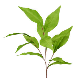 พืชเทียมสีเขียวใบมะม่วงทำจากผ้าไหมดอกไม้<span class=keywords><strong>ปลอม</strong></span>สำหรับจัดงานแต่งงานในสวน - Product Image 3