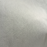 [FÁBRICA] Tela no tejida Spunlace de malla perforada para mascarillas, toallas sanitarias y material para toallitas