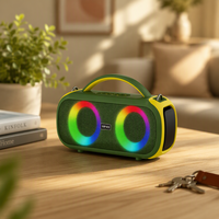 BKK / OEM 20W IPX5 Enceinte portable avec lumière RGB pour fêtes en extérieur