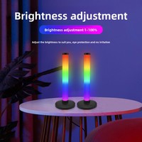 Lumière d'ambiance RGB Fantasy, application pour ordinateur de jeu, lumière rythmique activée par le son, jeu sur ordinateur de bureau