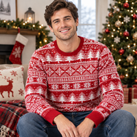 Pull de Noël pour homme OEM ODM, pull tricoté personnalisé avec logo frontal, vêtements tricotés pour les fêtes d'hiver en gros