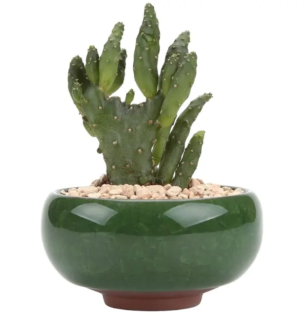 Pot Bunga Keramik Mini, Wadah Pot Bunga Kaktus untuk Dekorasi Rumah Taman Kantor