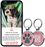 Etiquetas de identificación para mascotas NFC con código QR de Metal personalizado de la mejor calidad al por mayor, etiquetas antipérdida para perros y gatos