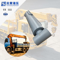 Make Maintenance More Convenient Double Acting Hard Chrome Plated Stainless Steel Luffing Hydraulic <strong>Cylinder</strong> for <strong>Best</strong> <strong>Selling</strong>