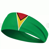 Bandeau drapeau d'Haïti personnalisé avec logo – Bandeau sportif unisexe anti-transpiration – Grande vente