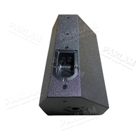 Enceintes de karaoké satellite pleine gamme 2 voies PAKLAM AUDIO 10 pouces étanches 350W pour DJ et soirées musicales