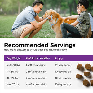 120 Granuli di Vitamine per Cuccioli ad Assorbimento Rapido, Supporto Immunitario per Cani, Salute Digestiva, Sollievo dal Disagio Stomacale, Integratori per Animali Domestici - Product Image 5