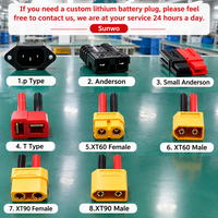 Batterie Lithium-Ion LiFePO4 Personnalisée 72V 60V 30Ah 40Ah 50Ah à Décharge Profonde, Plus de 4000 Cycles, Haute Densité Énergétique, BMS Intégré pour
