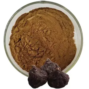 Etichetta privata estratto vegetale nero Maca polvere/maca polvere organica/radice di Maca in polvere