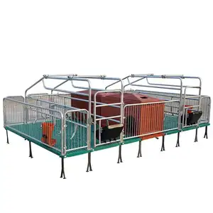 Great Farm High Quality Hot-dip Galvanized Material Board Farrowing Crates Double Pig Farrowing Crate
