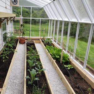 Invernadero de Aluminio y Vidrio Resistente al Viento para Jardín, Precio de Fábrica, para Patio Exterior - Product Image 4