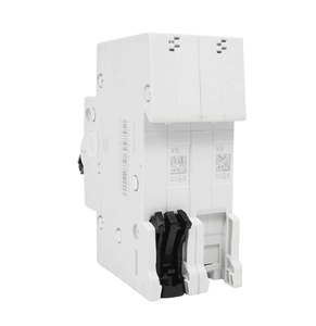 เบรกเกอร์ขนาดเล็ก A-BB S202-C32 รุ่น System Pro M Compact S200, 2 โพล, 32A, ประเภท C, 6kA, 400V AC, ติดตั้งบนราง DIN - Product Image 6