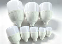 Fournisseur d'usine 175-265V DOB IC 10000K Ampoule LED en forme de T avec boîtier en plastique, nouveau type E27/B22